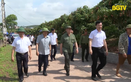 Đại biểu Quốc hội thăm v&ugrave;ng vải sớm T&acirc;n Y&ecirc;n