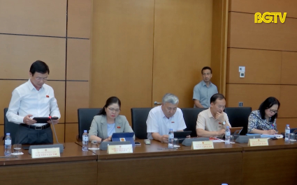 Đại biểu Quốc hội tỉnh Bắc Giang thảo luận về c&aacute;c dự &aacute;n Luật