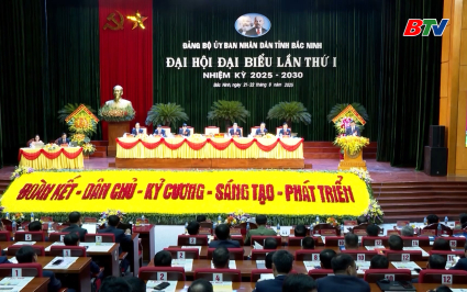 Đại hội đại biểu Đảng bộ UBND tỉnh Bắc Ninh lần thứ I 