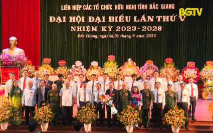 Đại hội Li&ecirc;n hiệp c&aacute;c tổ chức hữu nghị tỉnh Bắc Giang lần thứ V