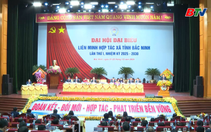 Đại hội đại biểu Li&ecirc;n minh HTX tỉnh Bắc Ninh lần thứ nhất