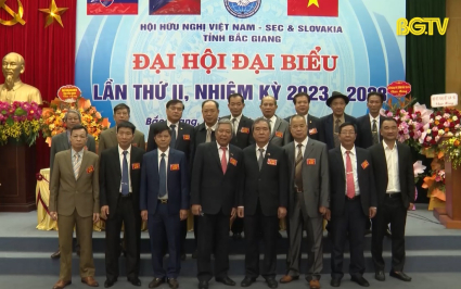 Đại hội Đại biểu Hội Hữu nghị Việt Nam - S&eacute;c v&agrave; Slovakia lần thứ II  