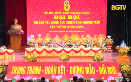 Đại hội thi đua y&ecirc;u nước Cựu chiến binh gương mẫu lần thứ VII 