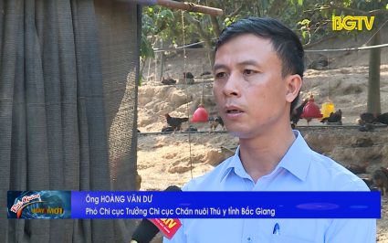 Đảm bảo an to&agrave;n dịch bệnh tr&ecirc;n đ&agrave;n g&agrave;