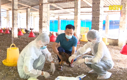 Đảm bảo điều kiện duy tr&igrave; v&ugrave;ng an to&agrave;n dịch bệnh 