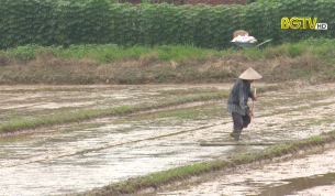 Đảm bảo điều kiện sản xuất vụ chi&ecirc;m xu&acirc;n