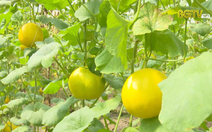 Đảm bảo hiệu quả kinh tế, tăng trưởng lĩnh vực n&ocirc;ng nghiệp