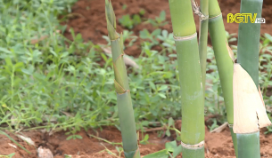 Đảm bảo mục ti&ecirc;u, chất lượng sản phẩm OCOP năm 2021