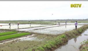 Đảm bảo thắng lợi sản xuất vụ chi&ecirc;m xu&acirc;n