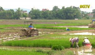 Đảm bảo tiến độ sản xuất vụ chi&ecirc;m xu&acirc;n