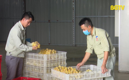Đảm bảo tốc độ tăng trưởng lĩnh vực n&ocirc;ng nghiệp