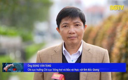 Đảm bảo vải thiều ch&iacute;nh vụ ra hoa thuận lợi