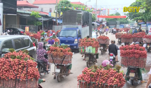 G&oacute;c nh&igrave;n thẳng: Đảm bảo v&ugrave;ng vải thiều an to&agrave;n trong dịch bệnh Covid-19