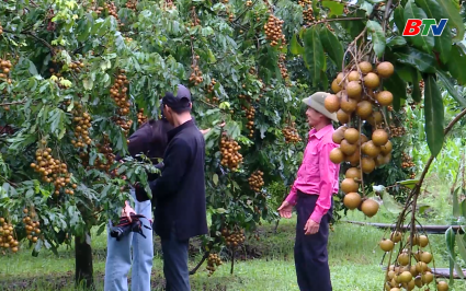 D&acirc;n tộc v&agrave; ph&aacute;t triển: M&ugrave;a nh&atilde;n ch&iacute;n của đồng b&agrave;o d&acirc;n tộc Cao Lan