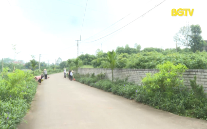 D&acirc;n vận kh&eacute;o trong bảo vệ m&ocirc;i trường 