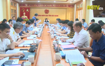 Đảng đo&agrave;n HĐND tỉnh thẩm định nội dung tr&igrave;nh BTV Tỉnh ủy 