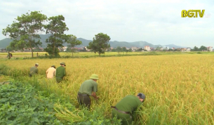 Đảng vi&ecirc;n c&ocirc;ng an trẻ r&egrave;n luyện, trưởng th&agrave;nh trong đại dịch