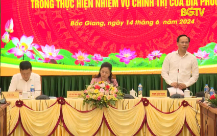 Đ&aacute;nh gi&aacute; kết quả thực hiện kế hoạch, đề &aacute;n do BTV Tỉnh ủy giao 