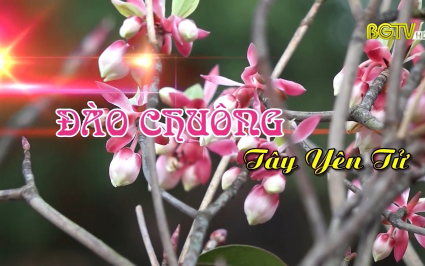 Đ&agrave;o chu&ocirc;ng T&acirc;y Y&ecirc;n Tử