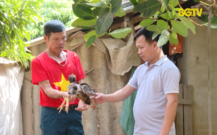 Đ&agrave;o tạo nghề gắn với giải quyết việc l&agrave;m cho người lao động