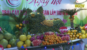 Dấu ấn ng&agrave;y hội tr&aacute;i c&acirc;y Lục Ngạn