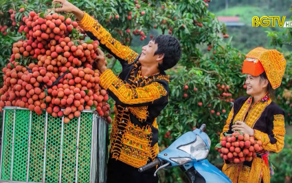 "Dấu ấn, tiềm năng về v&ugrave;ng đất, con người Bắc Giang" qua ống k&iacute;nh của c&aacute;c nghệ sĩ nhiếp ảnh