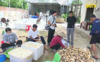 Đẩy mạnh c&aacute;c hoạt động hỗ trợ hợp t&aacute;c x&atilde;