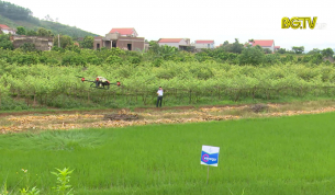 Đẩy mạnh chuyển đổi số trong lĩnh vực n&ocirc;ng nghiệp