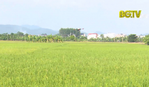Đẩy mạnh c&ocirc;ng nghệ số ho&aacute; trong sản xuất n&ocirc;ng nghiệp