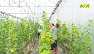 Đẩy mạnh li&ecirc;n kết chuỗi để n&acirc;ng cao thu nhập cho người n&ocirc;ng d&acirc;n