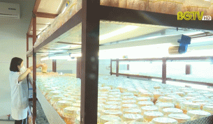 Đẩy mạnh sản xuất n&ocirc;ng nghiệp c&ocirc;ng nghệ cao, n&acirc;ng cao gi&aacute; trị n&ocirc;ng sản