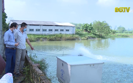 Đẩy mạnh ứng dụng c&ocirc;ng nghệ v&agrave;o sản xuất thuỷ sản