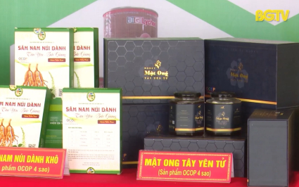 Đẩy mạnh x&uacute;c tiến thương mại cho sản phẩm OCOP