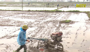 Đẩy nhanh tiến độ gieo cấy l&uacute;a Chi&ecirc;m xu&acirc;n