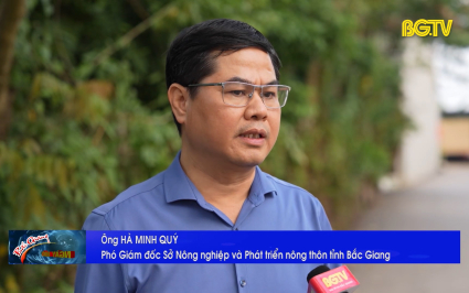 Đẩy nhanh tiến độ ho&agrave;n th&agrave;nh n&ocirc;ng th&ocirc;n mới