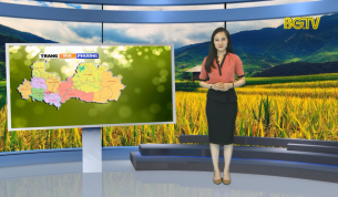 Trang truyền h&igrave;nh địa phương ng&agrave;y 24 - 06 - 2019