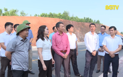 ĐBND với cử tri: Giám sát việc chuyển mục đích sử dụng rừng