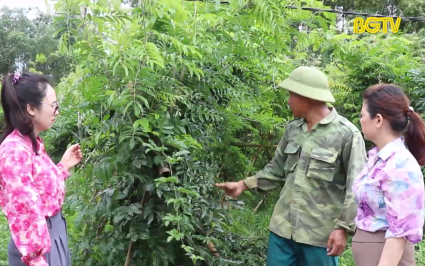ĐBND với cử tri: &Yacute; kiến cử tri về giảm ngh&egrave;o ở Sơn Động