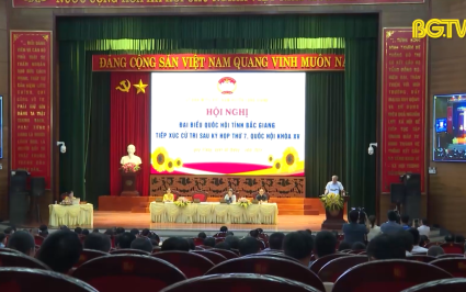 Đại biểu Quốc hội tỉnh Bắc Giang tiếp x&uacute;c cử tri tại Lạng Giang 
