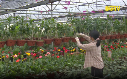Để hợp t&aacute;c x&atilde; n&ocirc;ng nghiệp ph&aacute;t triển bền vững 
