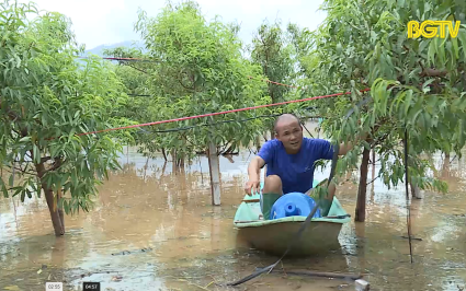 Để n&ocirc;ng d&acirc;n v&ugrave;ng lũ sớm kh&ocirc;i phục sản xuất 