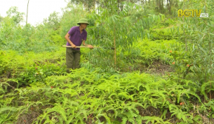 Đề ph&ograve;ng ch&aacute;y rừng do nắng n&oacute;ng