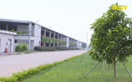 DN Bắc Giang hội nhập v&agrave; ph&aacute;t triển: Tăng trưởng xanh để ph&aacute;t triển bền vững