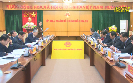 Đo&agrave;n Đại biểu Quốc hội tỉnh gi&aacute;m s&aacute;t tại UBND tỉnh 