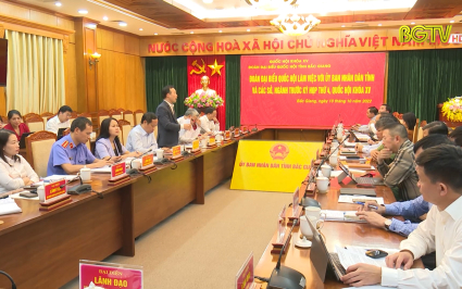 Đo&agrave;n ĐBQH l&agrave;m việc với UBND tỉnh v&agrave; c&aacute;c Sở, Ng&agrave;nh li&ecirc;n quan