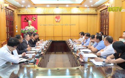 Đo&agrave;n doanh nghiệp Mỹ t&igrave;m hiểu, x&uacute;c tiến nhập khẩu vải thiều