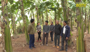 Đổi mới tư duy trong sản xuất n&ocirc;ng nghiệp