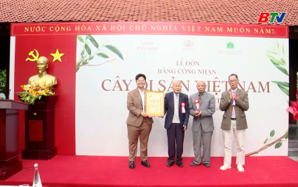 Đ&oacute;n bằng c&ocirc;ng nhận C&acirc;y Di sản Việt Nam 