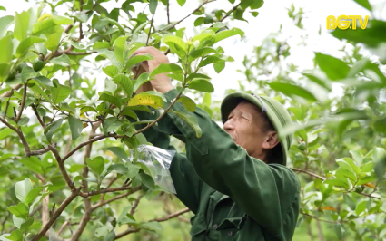 Đồng h&agrave;nh c&ugrave;ng chủ thể triển khai chương tr&igrave;nh Ocop 