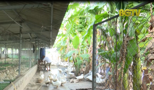 Đồng h&agrave;nh c&ugrave;ng người d&acirc;n giảm ngh&egrave;o